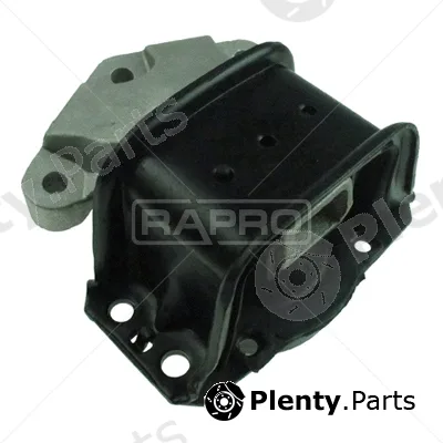 Rapro R51951 — Mounting, engine