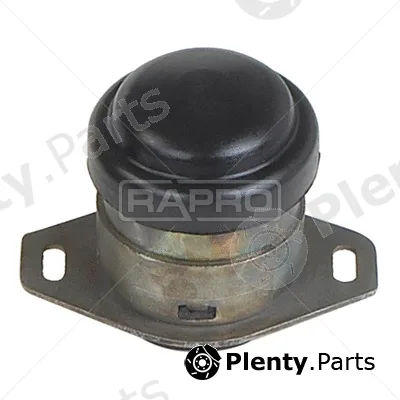 Rapro R59851 — Mounting, engine