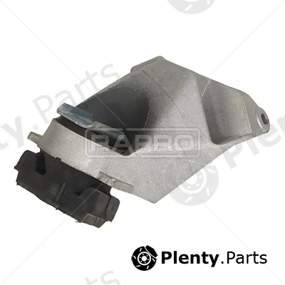 Rapro R54100 — Mounting, engine