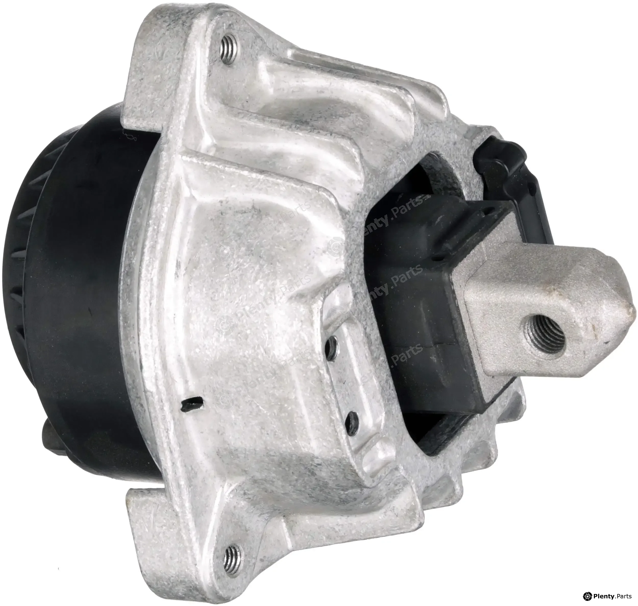 Rapro R55589 — Mounting, engine