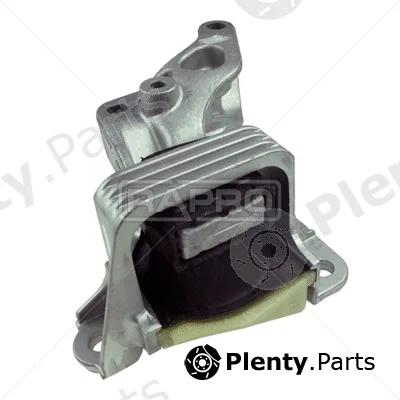 Rapro R50149/A — Mounting, engine