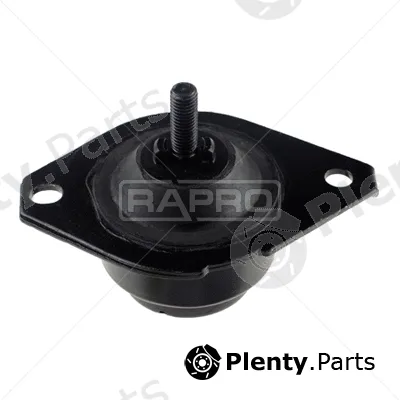 Rapro R54179 — Mounting, engine
