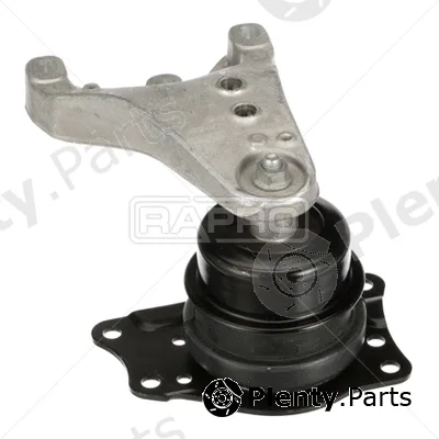 Rapro R55474 — Mounting, engine