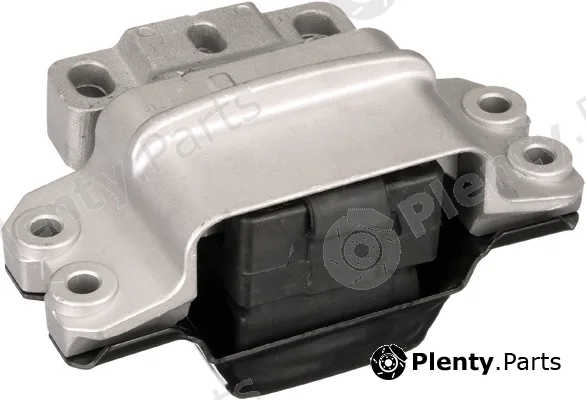 Rapro R55521 — Mounting, engine