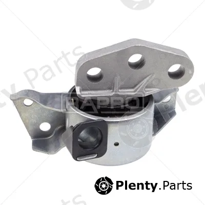 Rapro R54836 — Mounting, engine