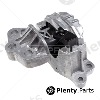 Rapro R54352 — Mounting, engine