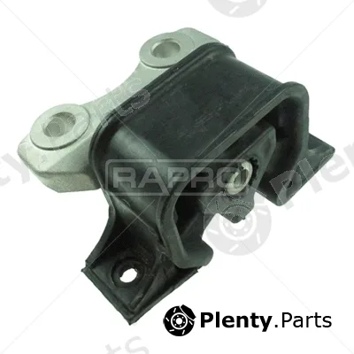 Rapro R51899 — Mounting, engine