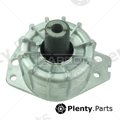 Rapro R52251 — Mounting, engine