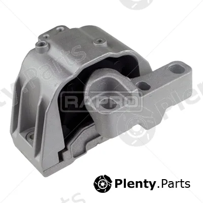 Rapro R54244 — Mounting, engine
