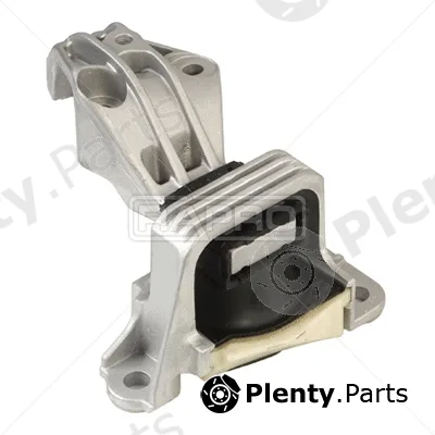 Rapro R51065/A — Mounting, engine
