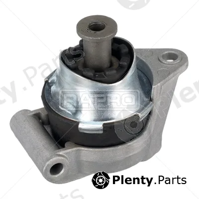 Rapro R55429 — Mounting, engine