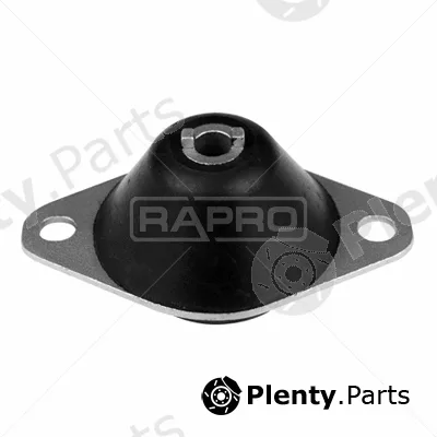Rapro R54504 — Mounting, engine
