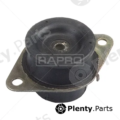 Rapro R59859 — Mounting, engine