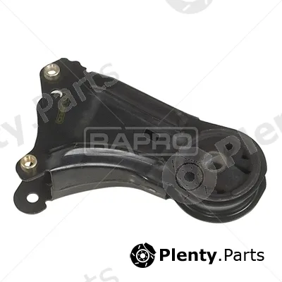 Rapro R54103 — Mounting, engine