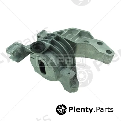 Rapro R51559/O — Mounting, engine
