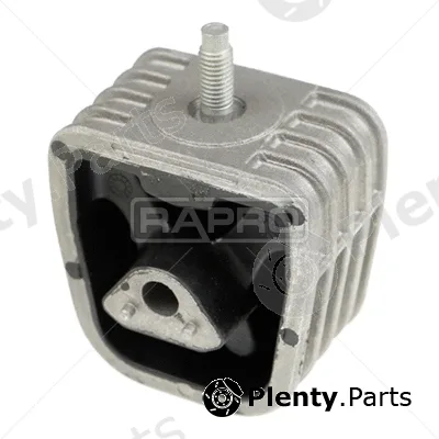 Rapro R54644 — Mounting, engine