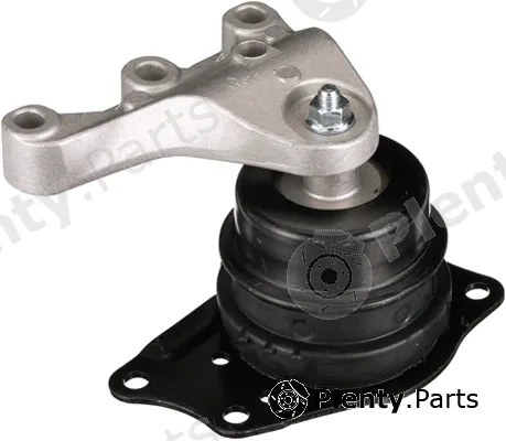 Rapro R55619 — Mounting, engine