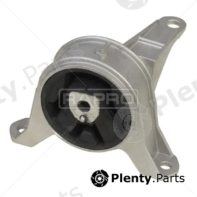 Rapro R59048 — Mounting, engine