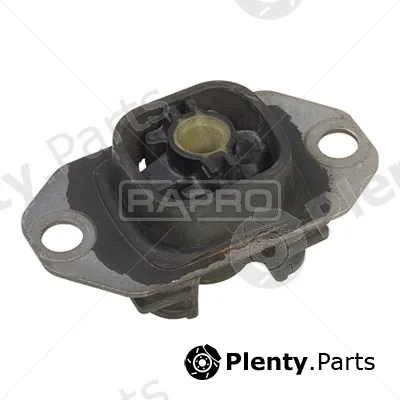 Rapro R52028 — Mounting, engine
