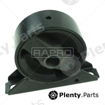 Rapro R51617 — Mounting, engine