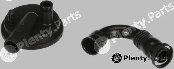 Rapro R25311/K — Repair Kit, crankcase ventilation