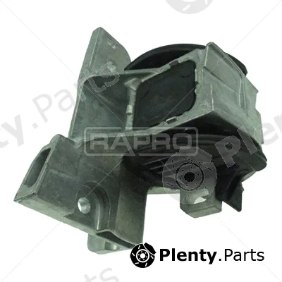 Rapro R51859/O — Mounting, engine