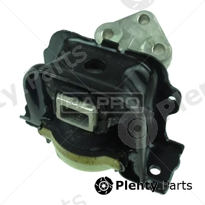 Rapro R51587 — Mounting, engine