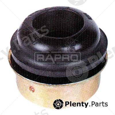 Rapro R55239 — Mounting, engine