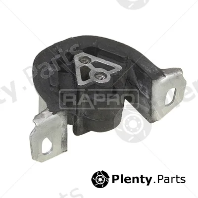 Rapro R59025 — Mounting, engine