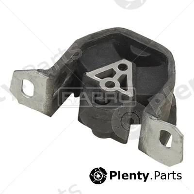 Rapro R59022 — Mounting, engine