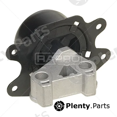 Rapro R59137 — Mounting, engine