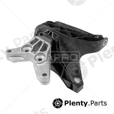 Rapro R54206 — Mounting, engine