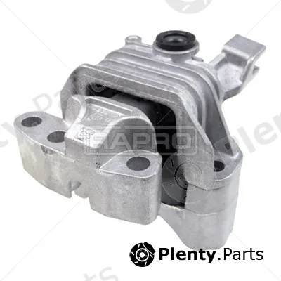 Rapro R54683/O — Mounting, engine