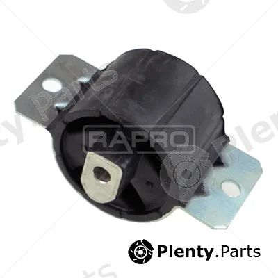Rapro R54436 — Mounting, engine