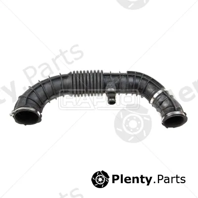 Rapro R16528 — Hose, air supply
