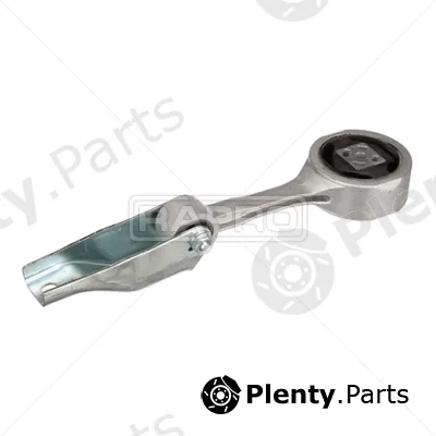 Rapro R55466 — Mounting, engine