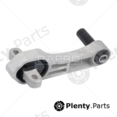 Rapro R59787/A — Mounting, engine
