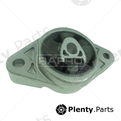 Rapro R53165 — Mounting, engine