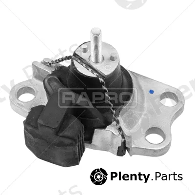 Rapro R55153 — Mounting, engine