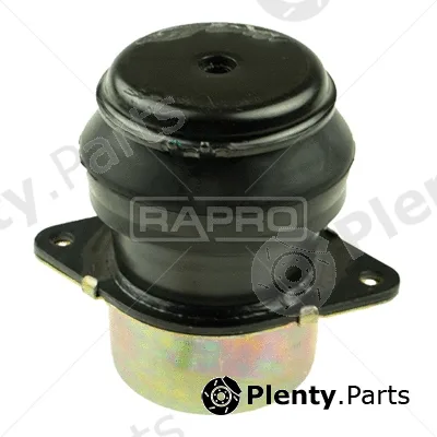 Rapro R55318/O — Mounting, engine