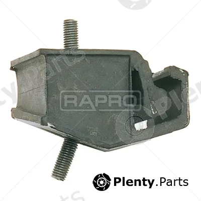 Rapro R58151 — Mounting, engine
