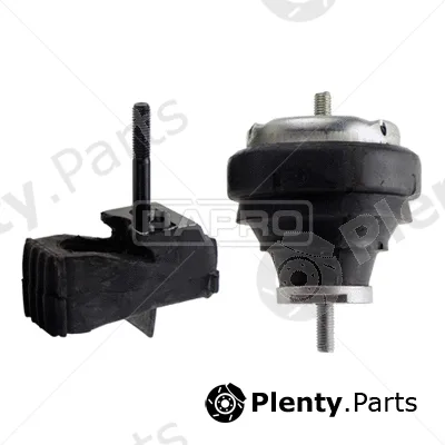 Rapro R54187 — Mounting, engine
