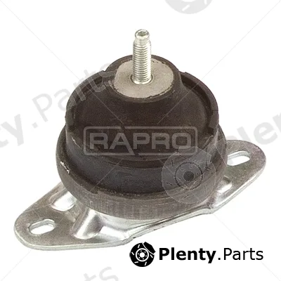 Rapro R59864 — Mounting, engine