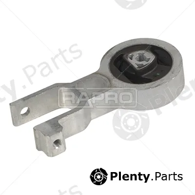 Rapro R59717/A — Mounting, engine