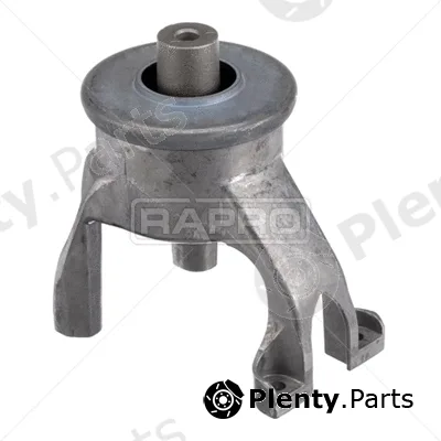 Rapro R55356 — Mounting, engine
