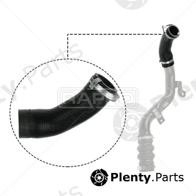 Rapro R16239 — Charge Air Hose