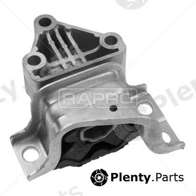 Rapro R52243/O — Mounting, engine