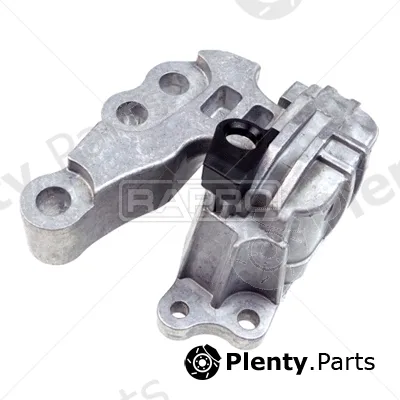 Rapro R54343 — Mounting, engine