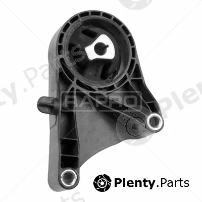 Rapro R54823 — Mounting, engine