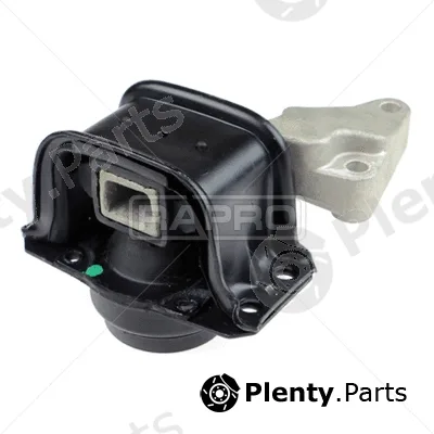 Rapro R52123 — Mounting, engine